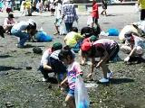 野島海岸での清掃活動