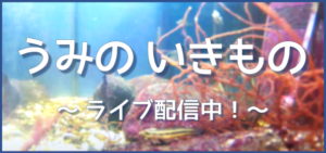 4年 野島 宿泊体験学習 倉田小学校